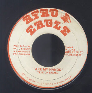 TRISTON PALMA [Take My Hands]