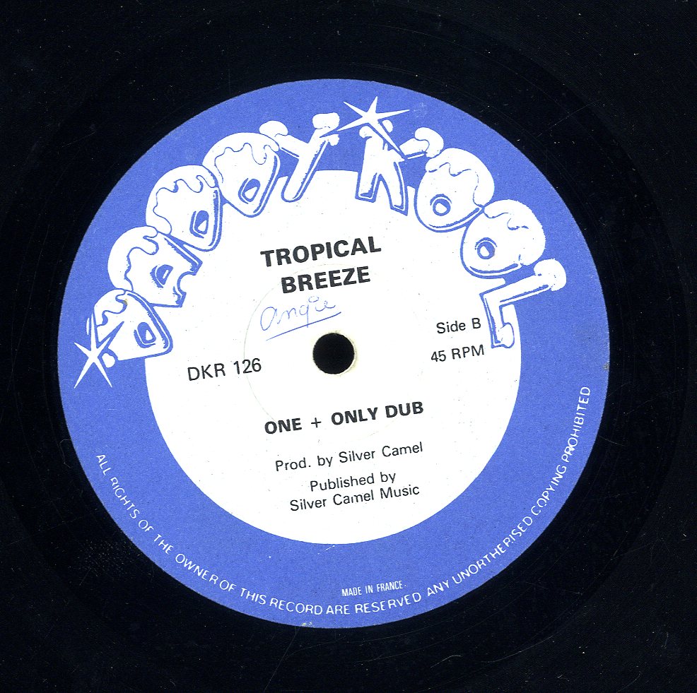 ラバーズロックtropical breeze / you're the one