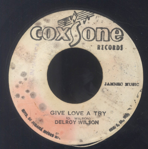 THE MAYTALS /DELROY WILSON  [He'll Provide /Give Love A Try ]