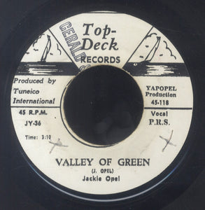 JACKIE OPEL  [Valley Of Green / Tears From My Eyes]