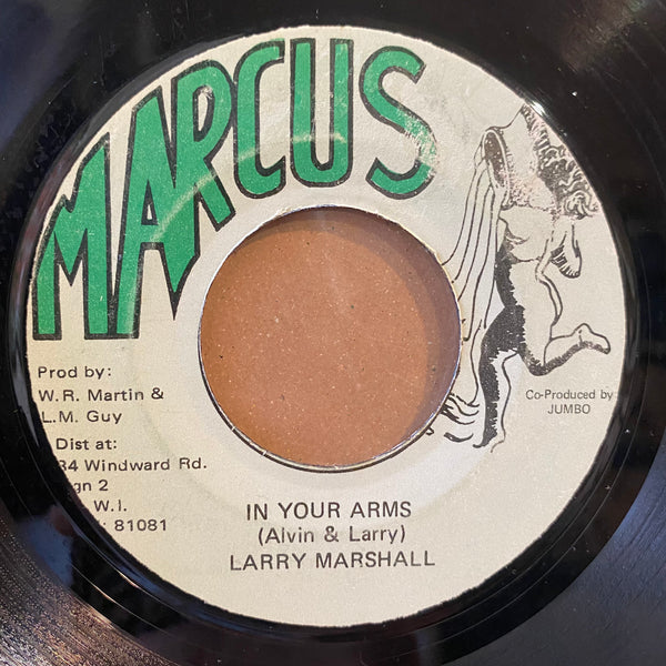 LARRY MARSHALL [In Your Arms]