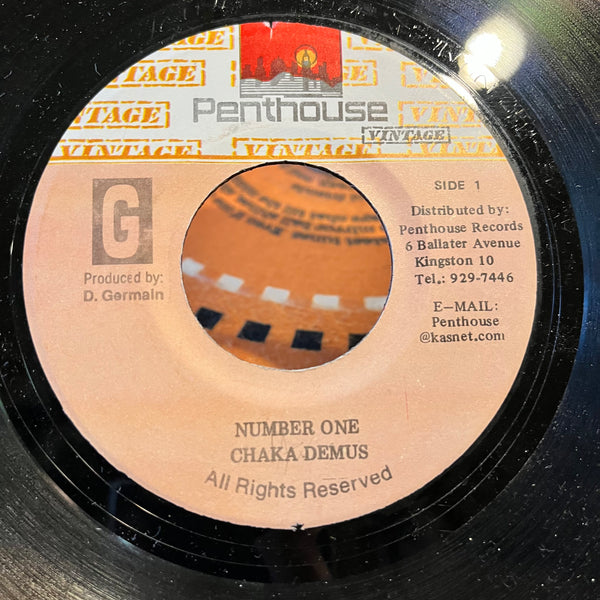 CHAKA DEMUS / TERRY GANZIE [Number One / We All Need A Woman]
