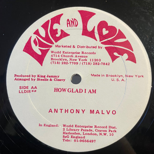 ANTHONY MALVO / LECTURE [How Glad I Am / Punnany Too Sweet]