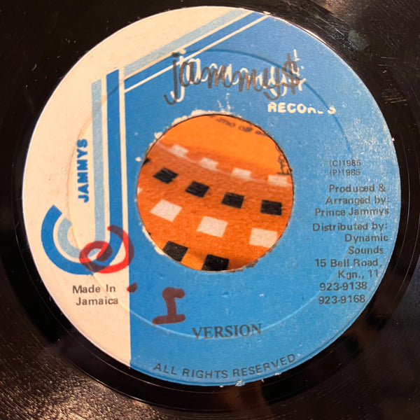 TONTO IRIE [Every Possy Get Ready]