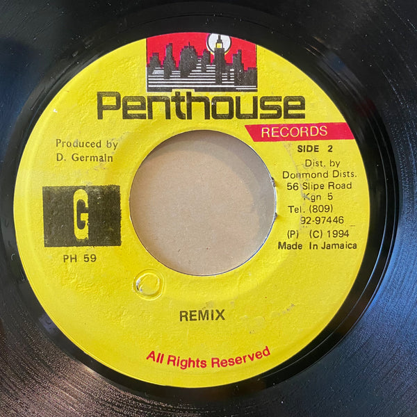 TERRY GANZIE / TONY REBEL [Whosoever Will / Guns And Ammunition]