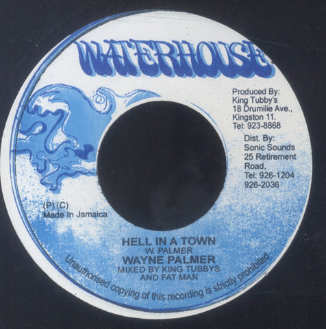 WAYNE PALMER [Hell In A Town]