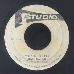 HORTENSE ELLIS [Why Birds Fly]