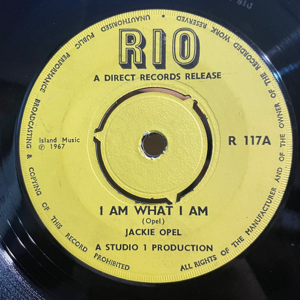 JACKIE OPEL / SOUL BROTHERS (JACKIE MITTOO) [I Am What I Am / Devils Bug]