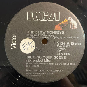 THE BLOW MONKEYS [Digging Your Scene]