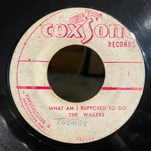 THE WAILERS / JACKIE MITTOO [What Am I Supposed To Do / Do The Boogaloo]