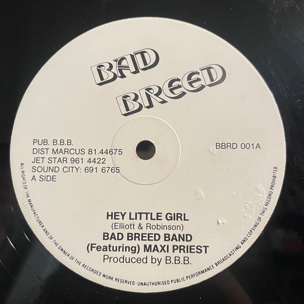 BAD BREED BAND [Hey Little Girl]