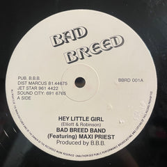 BAD BREED BAND [Hey Little Girl]