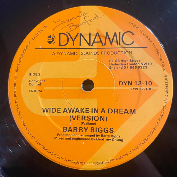 BARRY BIGGS [Wide Awake In A Dream]