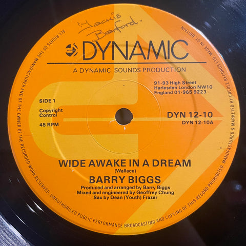 BARRY BIGGS [Wide Awake In A Dream]