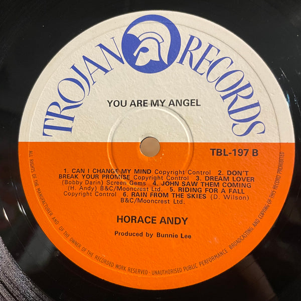 HORACE ANDY [You Are My Angel]