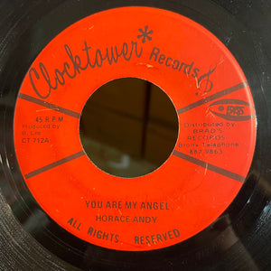 HORACE ANDY [You Are My Angel]