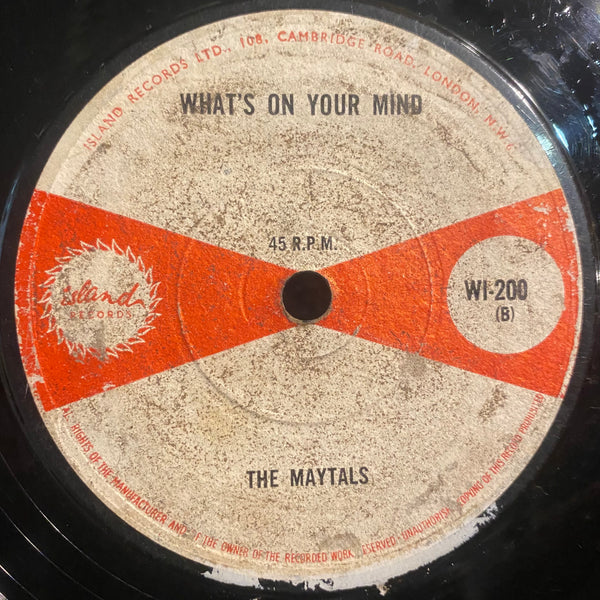 MAYTALS [Never You Change / What's On Your Mind]