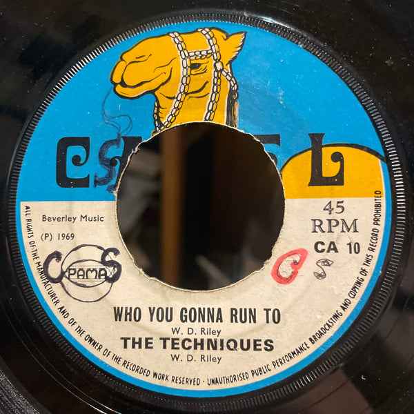 THE TECHNIQUES [Who You Gonna Run To / Hi There]