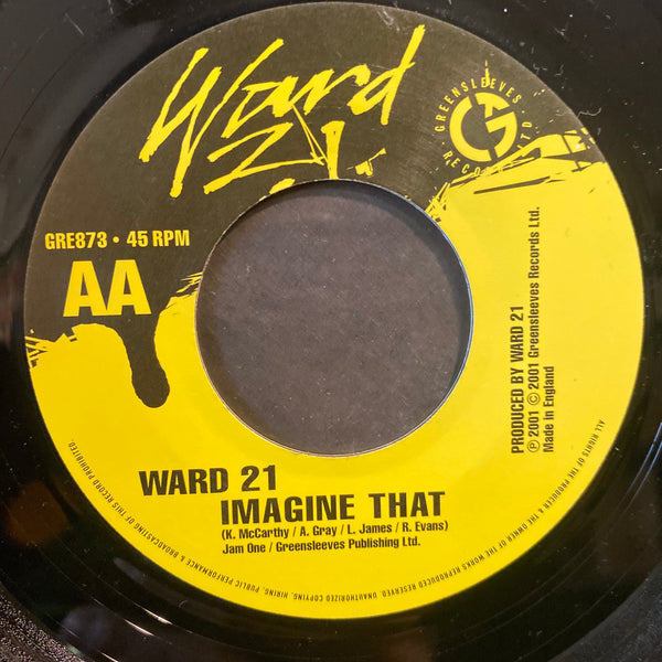 WARD 21 [Jealousy / Imagine That]