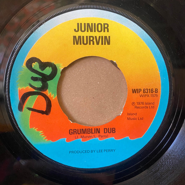 JUNIOR MARVIN  [Police And Thieves ]