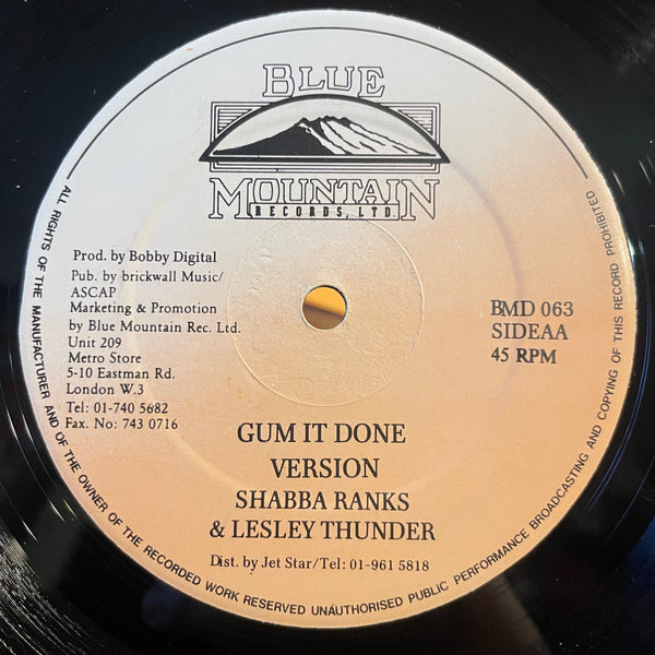 BRIAN & TONY GOLD / SHABBA RANKS & LESLEY THUNDER [On And On / Gum It Done (What Can You Do)]