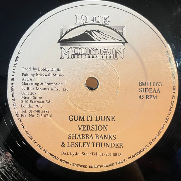 BRIAN & TONY GOLD / SHABBA RANKS & LESLEY THUNDER [On And On / Gum It Done (What Can You Do)]