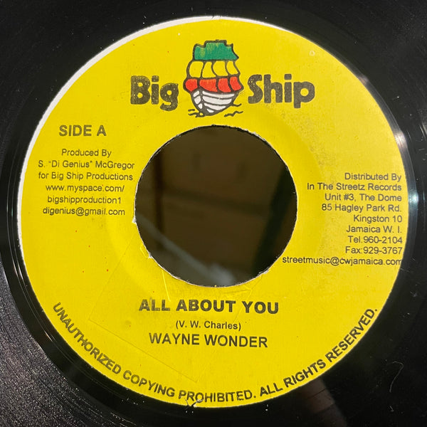 WAYNE WONDER [All About You]