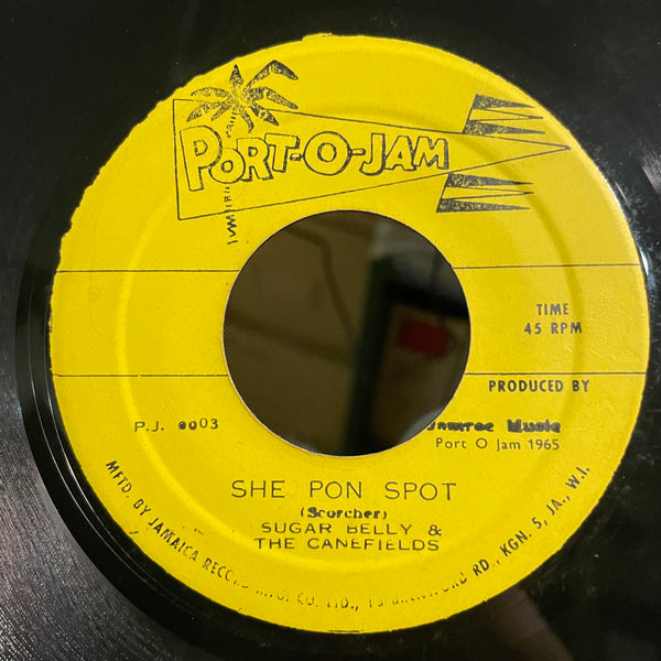 SUGAR BELLY [She Pon Top / Dejanbala]