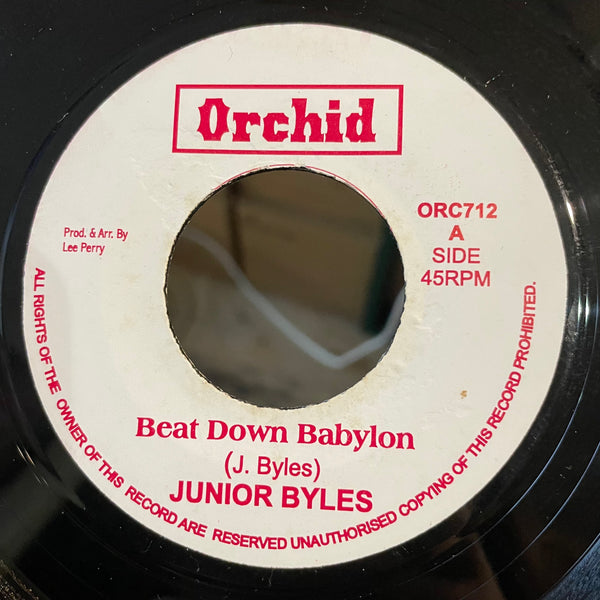 JUNIOR BYLES [Beat Down Babylon]