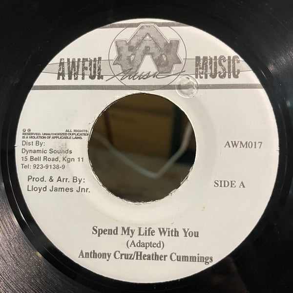 ANTHONY CRUZ & HEATHER CUMMINGS  [Spend My Life With You]