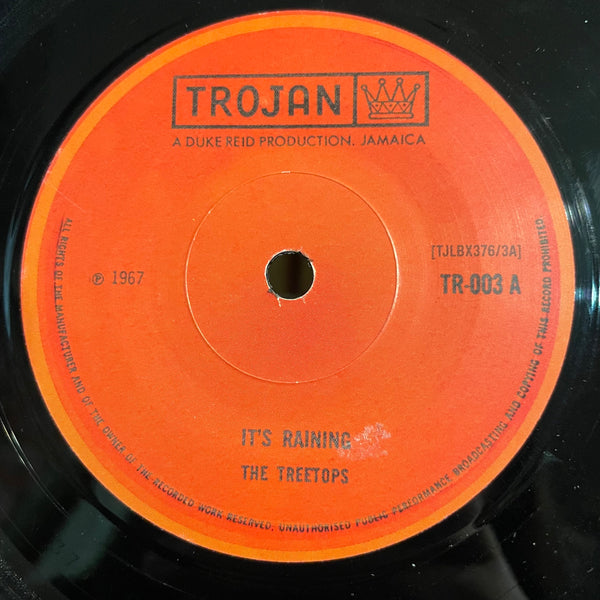 THE TREETOPS [It's Raining / Sound Of Music ]