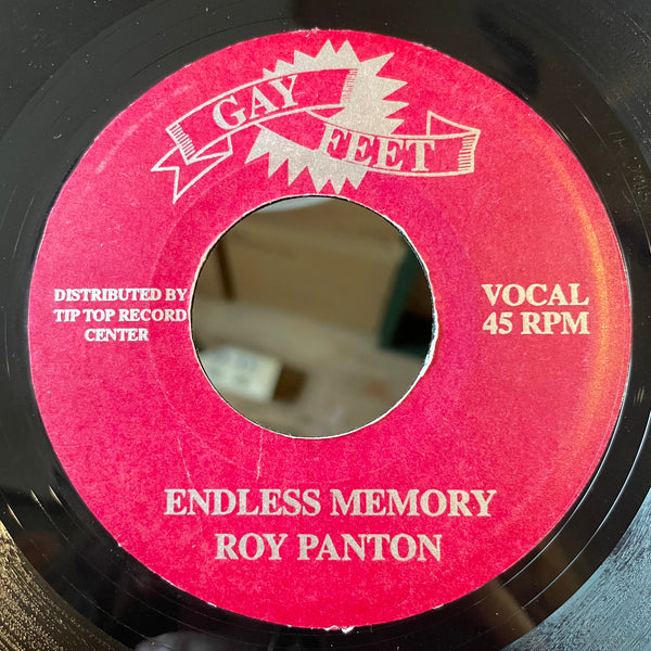 ROY PANTON [Endless Memory / Eastern Organ]