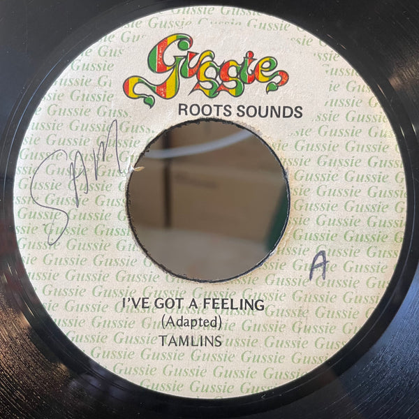 TAMLINS [I've Got A Feeling]