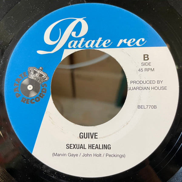 GUIVE [Can't Get Enough Of Your Love / Sexual Healing ]