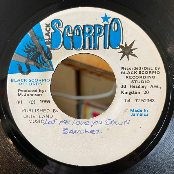 SANCHEZ & BABY WAYNE [Let Me Love You Down (Remix)]