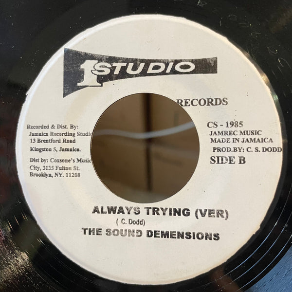 JUDAH ESKENDER TAFARI [Always Trying]