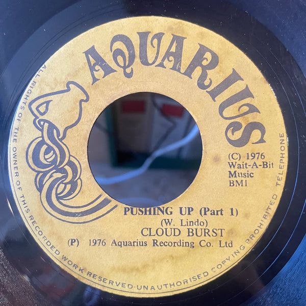 CLOUD BUST / D. CLARKE [Pushing Up / So Much I Want To Say]