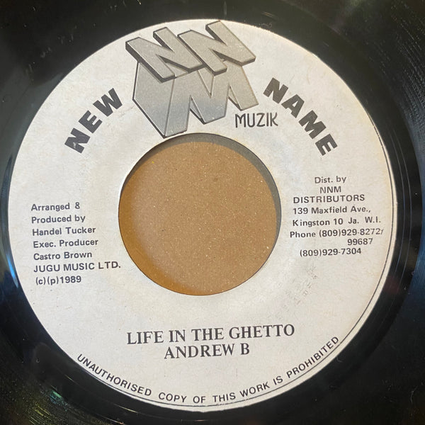 ANDREW B [Life In The Ghetto]