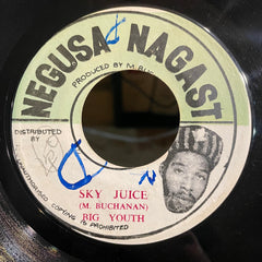 BIG YOUTH [Sky Juice]