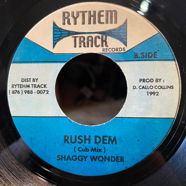 SHAGGY WONDER [Rush Dem]