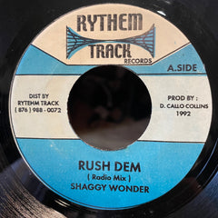 SHAGGY WONDER [Rush Dem]
