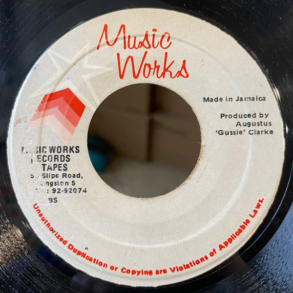 MIGHTY DIAMONDS [Wise Son]