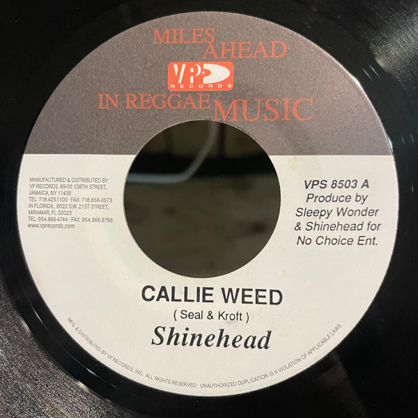 SHINEHEAD [Callie Weed / Olivia]