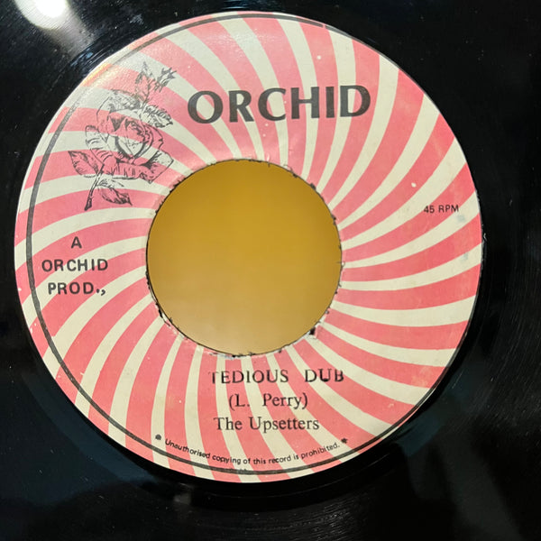 JUNIOR MURVIN  [Tedious ]