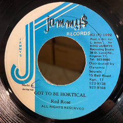 RED ROSE [Got To Be Hortical]