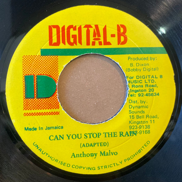 ANTHONY MALVO [Can You Stop The Rain]