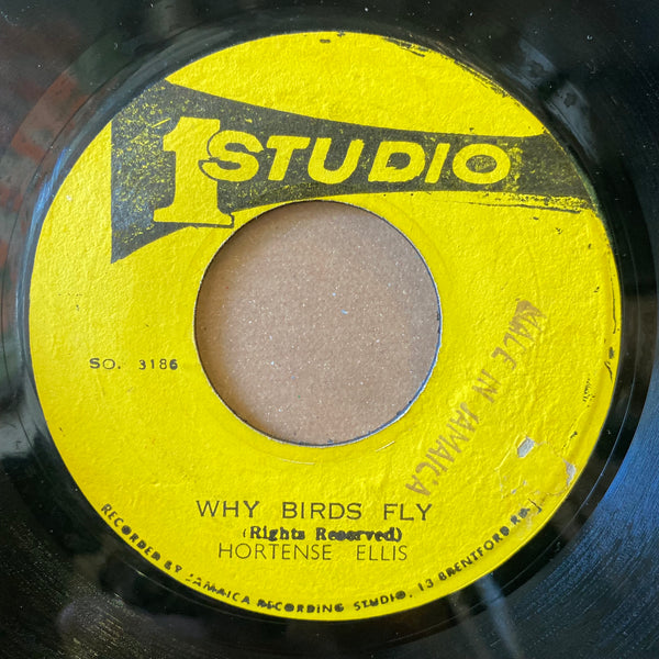 HORTENSE ELLIS [Why Birds Fly]