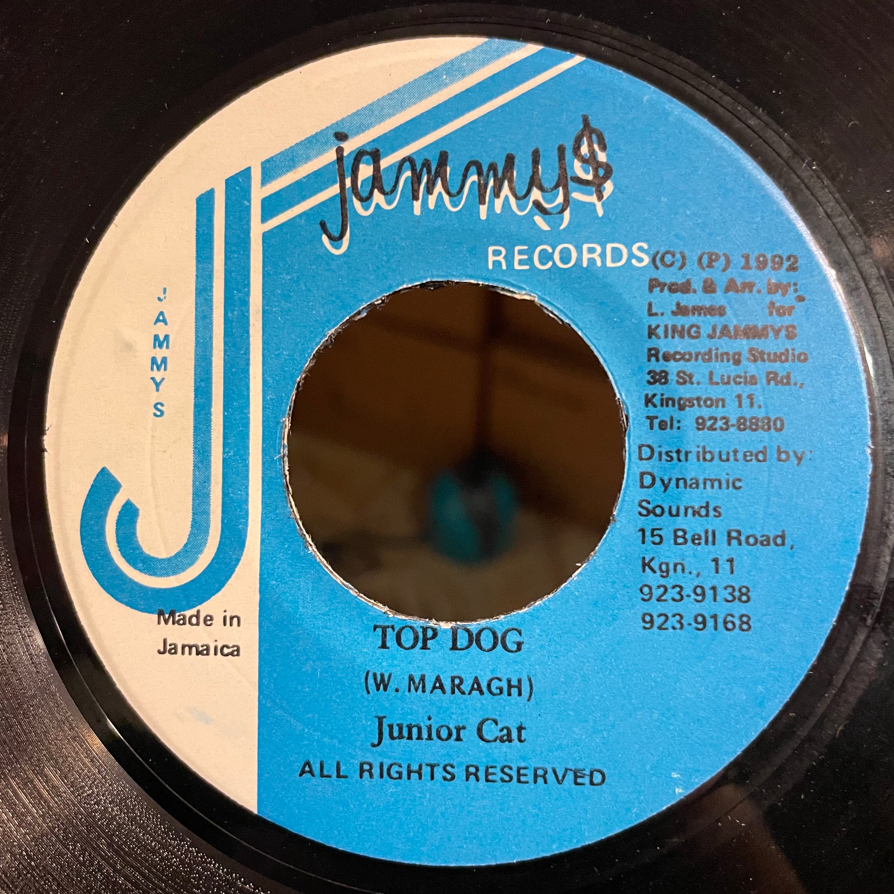 JUNIOR CAT [Top Dog]