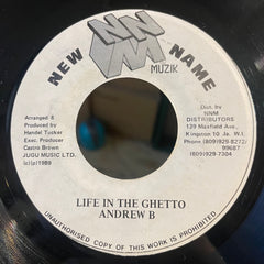 ANDREW B [Life In The Ghetto]