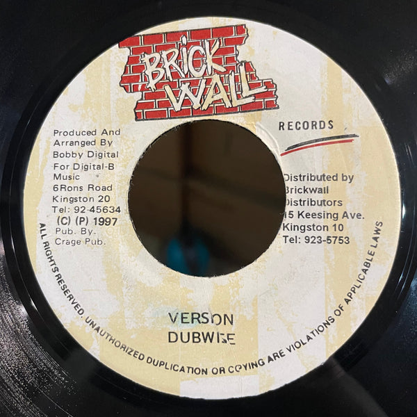 CARLTON LIVINGSTON & SHABBA RANKS [Don't Follow Rumours]